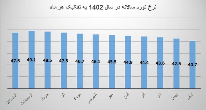 نرخ تورم سالانه در سال 1402 به تفکیک هر ماه