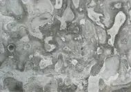 جلوگیری از خوردگی گالوانیکی